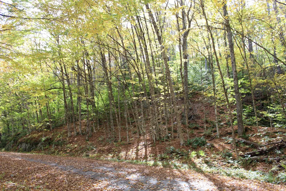 0 Timbercrest Road #25, Stockbridge, VT 05772 - #1