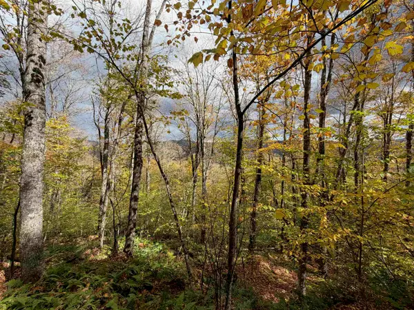 0 Timbercrest Road #25, Stockbridge, VT 05772