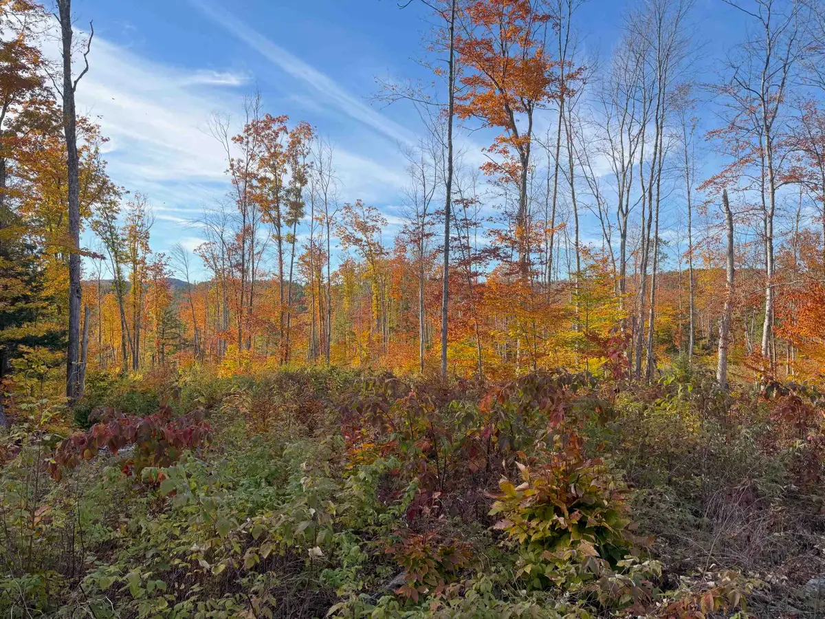 0 Colby Road, Meredith, NH 03253 - #1