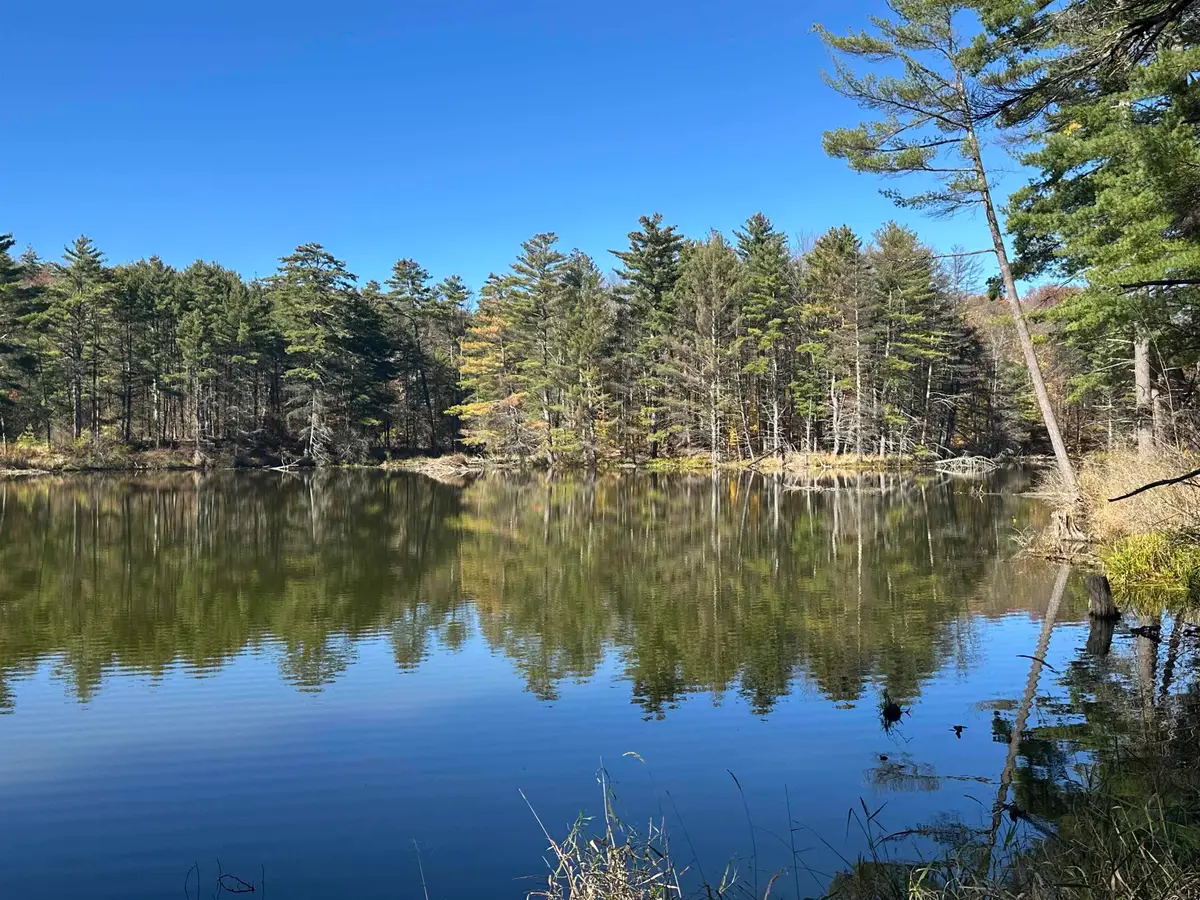 0 Fisher Road, Orwell, VT 05760-0038 - #1