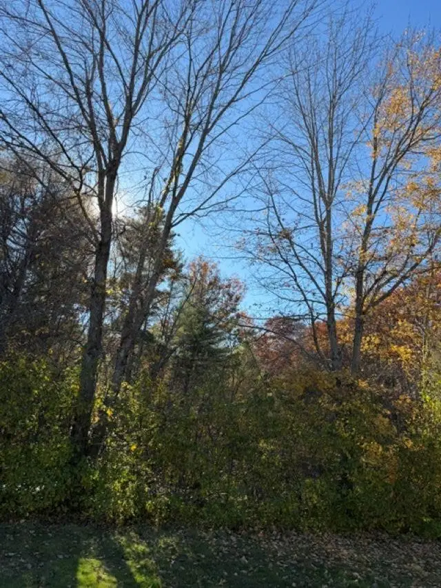 0 Hall Farm Road, Atkinson, NH 03811 - #2