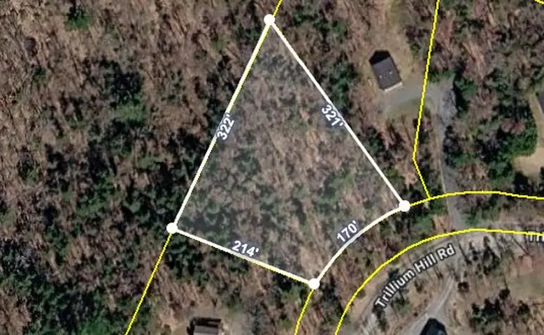 60 Trillium Hill Road, Pittsfield, VT 05762 - #1