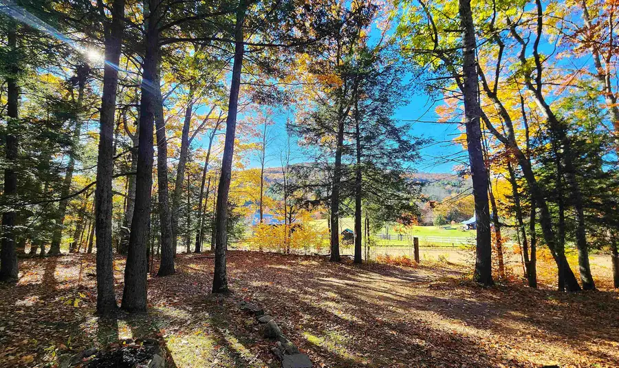212 Cambridgeport Road, Rockingham, VT 05143 - #3