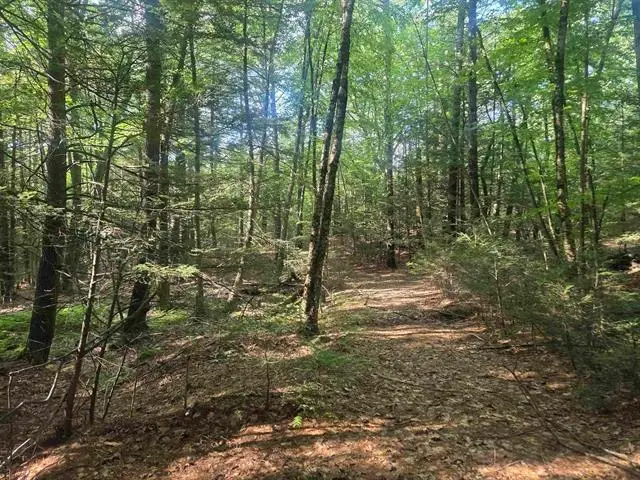 M20 L45 Green Road, Raymond, NH 03077 - #2