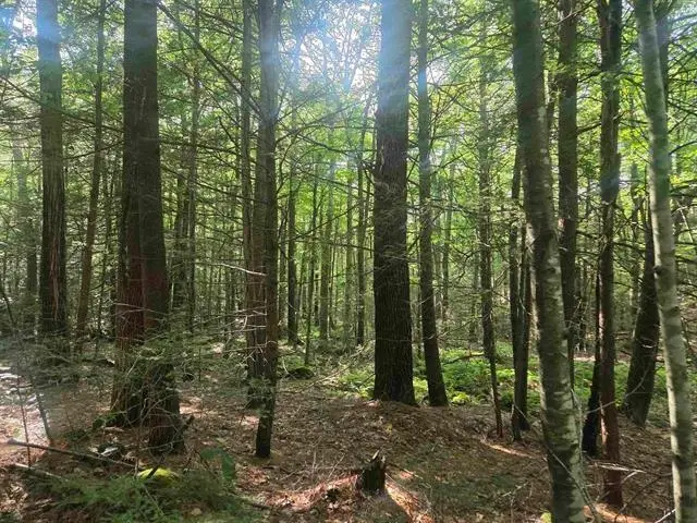 M20 L45 Green Road, Raymond, NH 03077 - #3