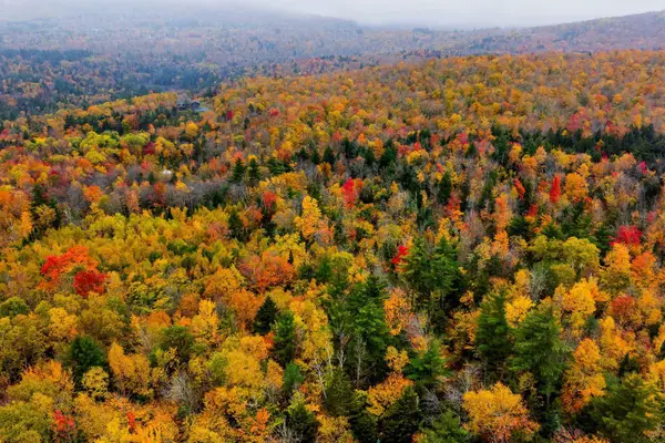 Lot 64 Piermont Heights Road, Orford, NH 03777
