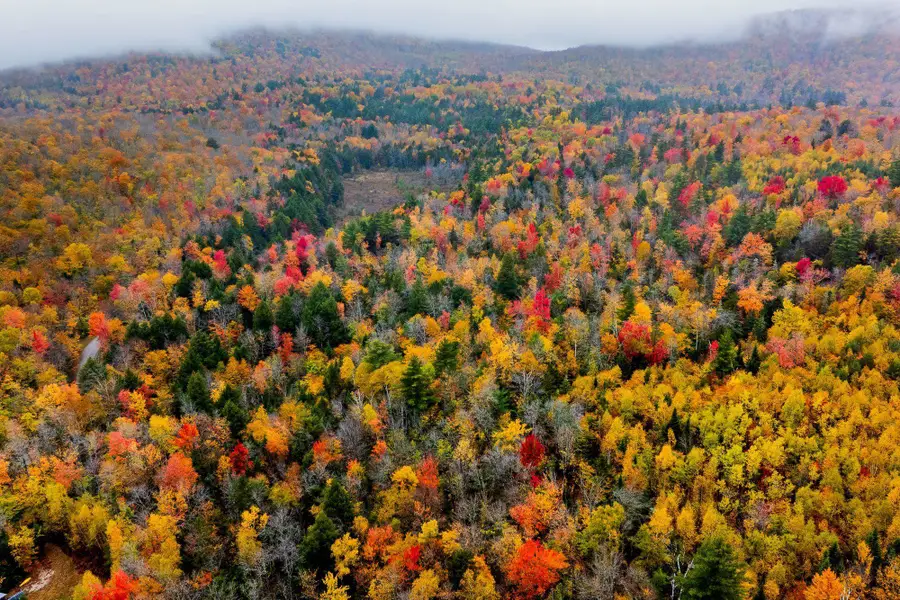 Lot 64 Piermont Heights Road, Orford, NH 03777 - #3