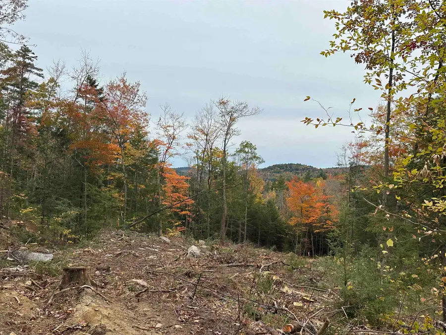 00 Wild Meadow Road, Grafton, NH 03240 - #3