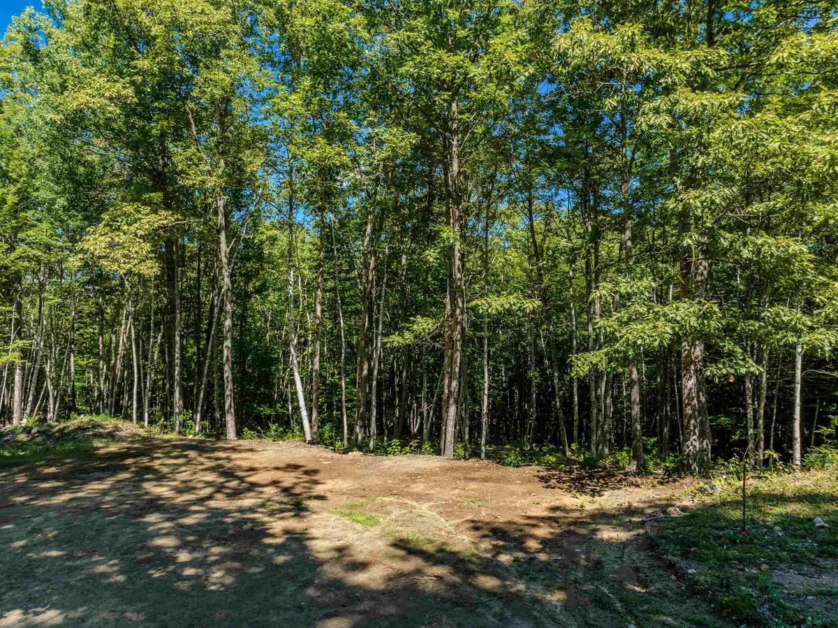 Lot 9 Ridge Road, Ashland, NH 03217 - #1