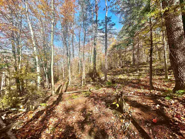00 Heartwellville View Road #Lots 78 & 79, Readsboro, VT 05350