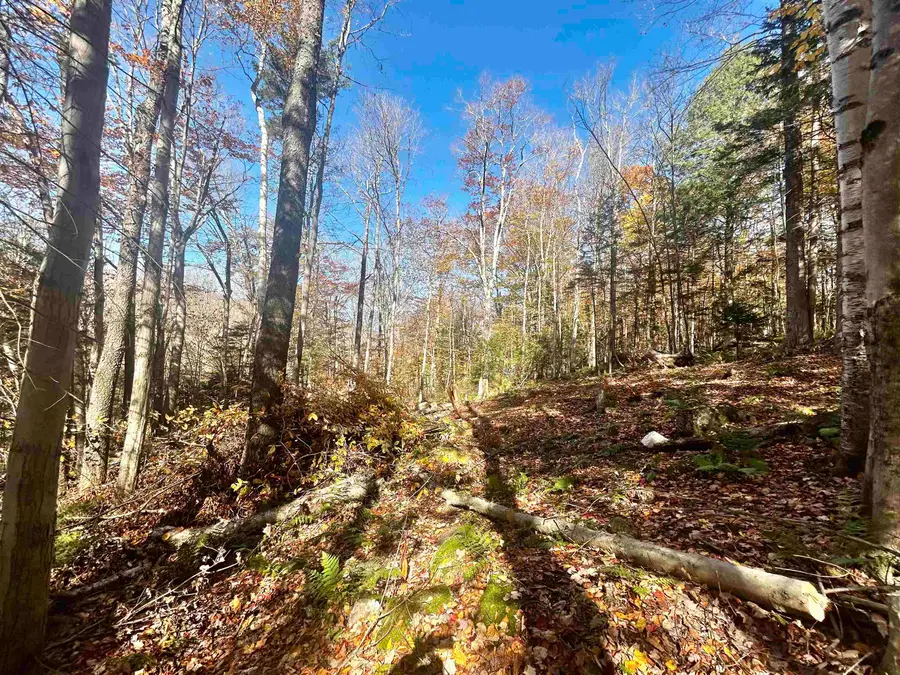 00 Heartwellville View Road #Lots 78 & 79, Readsboro, VT 05350 - #2