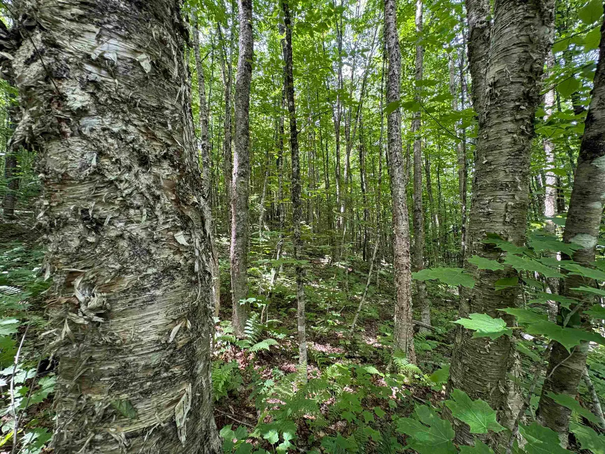 1819 Station Road, Sutton, VT 05867 - #1