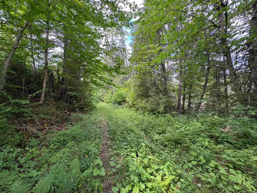 1819 Station Road, Sutton, VT 05867 - #2