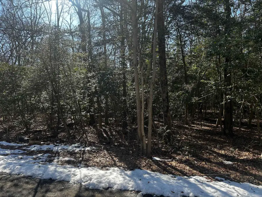 211 E Lena Street, Whitesboro, NJ 08210 - Image #3