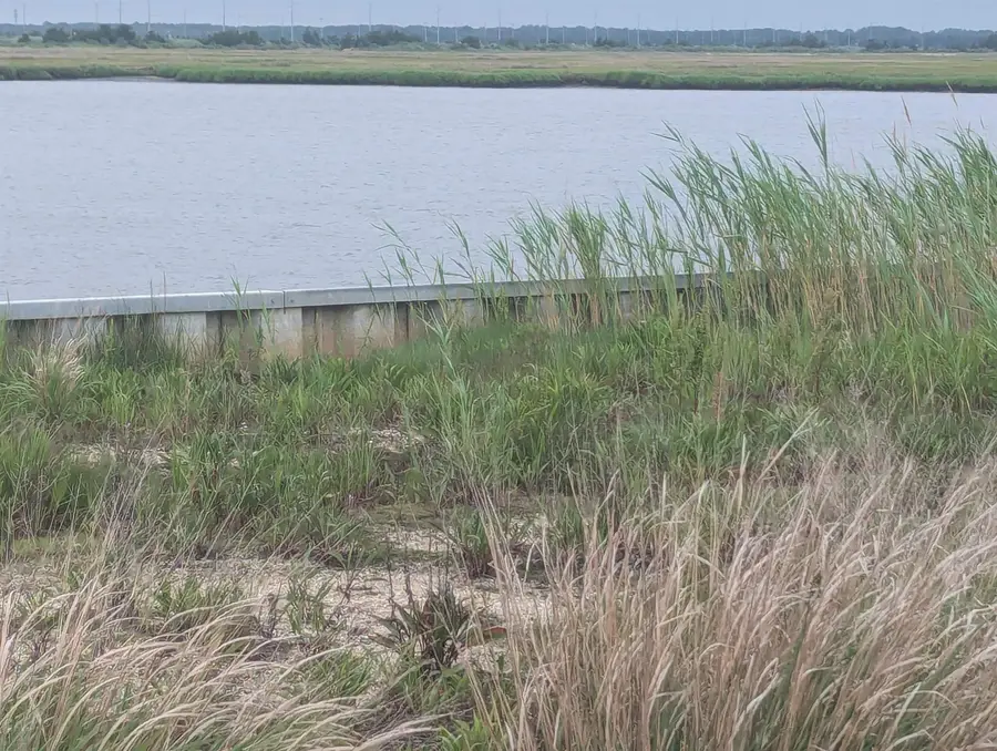 3600 Sounds Avenue, Sea Isle City, NJ 08243 - #2