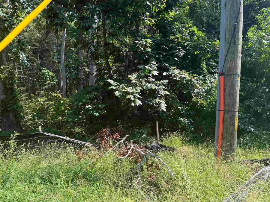 2 Shawmount Avenue, Villas, NJ 08251 - Image #2