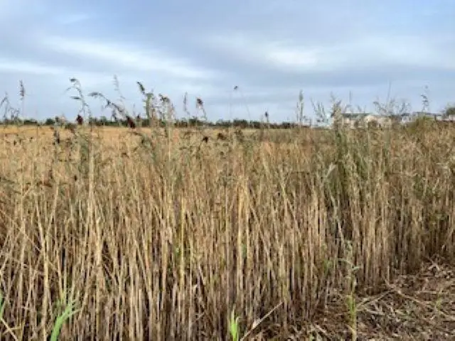 W Memphis Avenue, Diamond Beach, NJ 08260 - Image #1