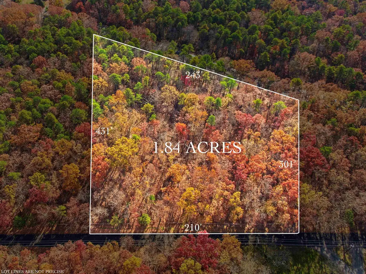 Rt 50 and Old Mays Landing Rd, Mays Landing, NJ 08330 - #1