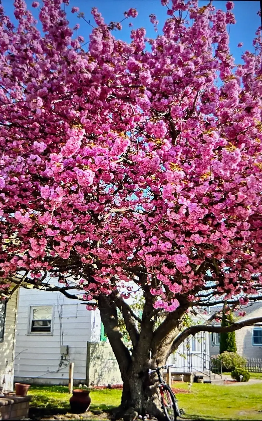 318 Linden Lane, Rio Grande, NJ 08242 - #3