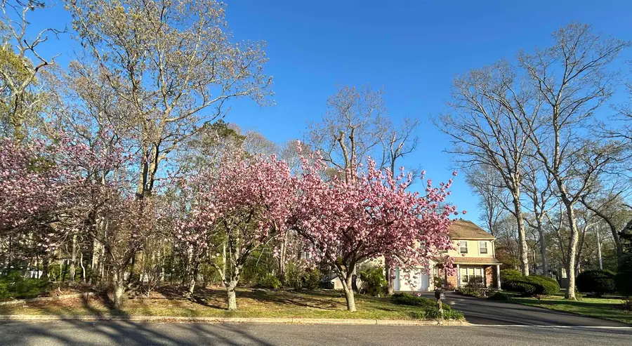 2 New Vernon Avenue, Seaville, NJ 08230 - #2