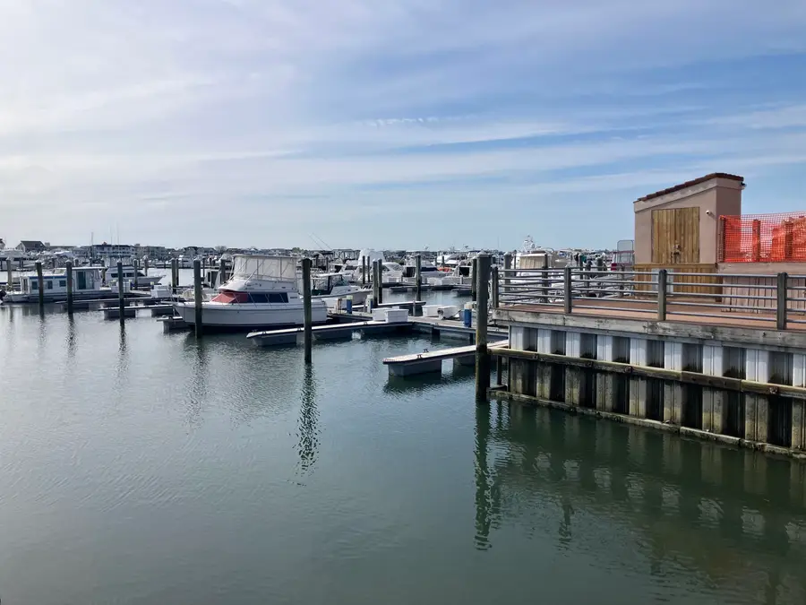 5100 Shawcrest Road, Lower, NJ 08260 - #2