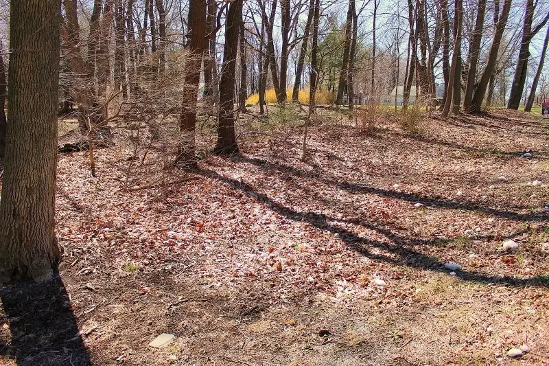 556 Glen Rd, Sparta, NJ 07871 - Image #2