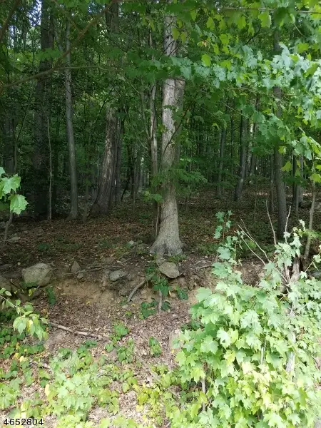 1128 Route 10, Randolph, NJ 07869 - #1