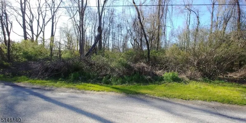 37 Cypress Dr, Hampton Township, NJ 07860 - Image #2