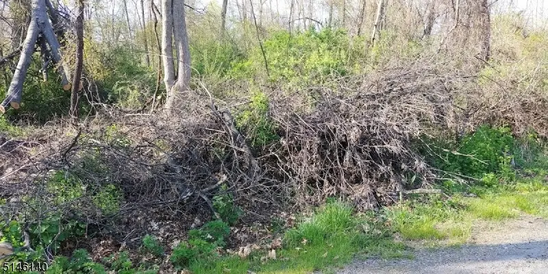 37 Cypress Dr, Hampton Township, NJ 07860 - Image #3