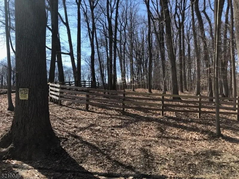 0 Apgar, Washington, NJ 07853 - Image #3