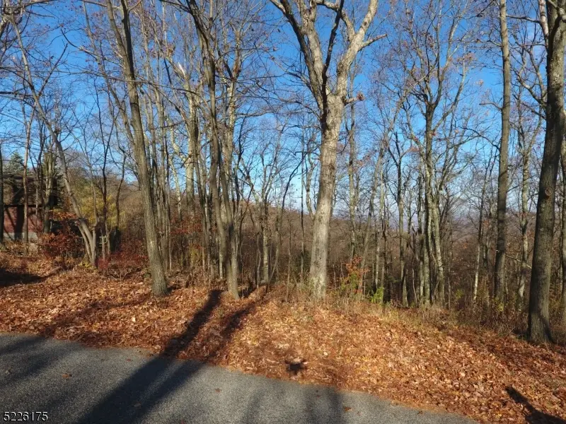 78 Lakeside Dr Nw, Vernon Township, NJ 07461 - Image #3