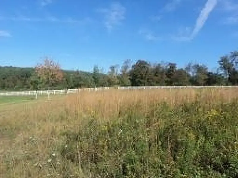 97 Hartpence Rd, Alexandria, NJ 08809 - Image #2