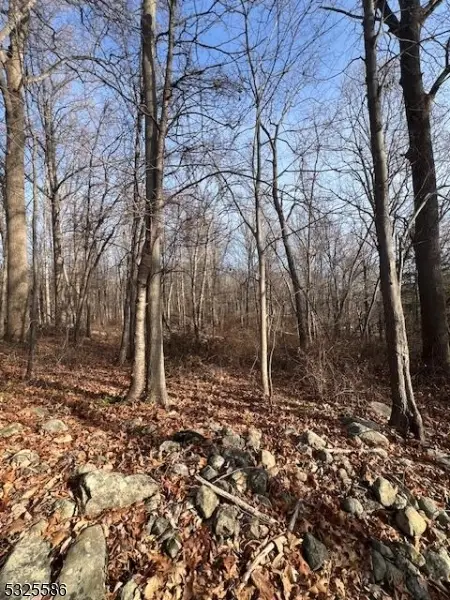 3-A Old Bilby Rd, Independence, NJ 07840 - Image #2