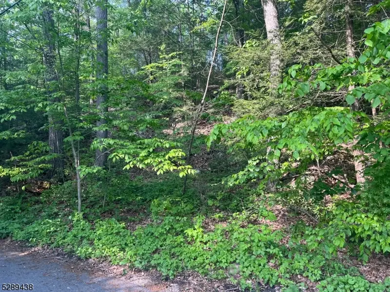 00 Fairlawn Dr, Upper Greenwood Lake, NJ 07480 - Image #3