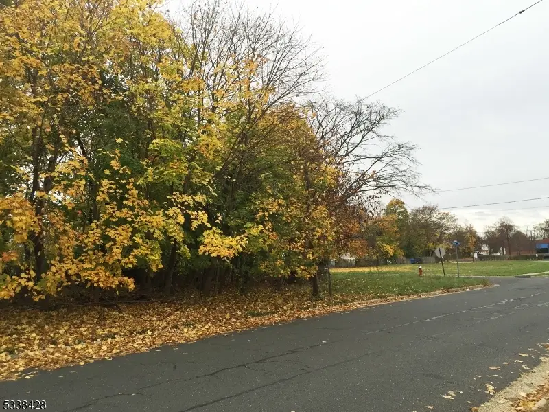 491 Lewis St, Franklin Township, NJ 08873 - Image #2