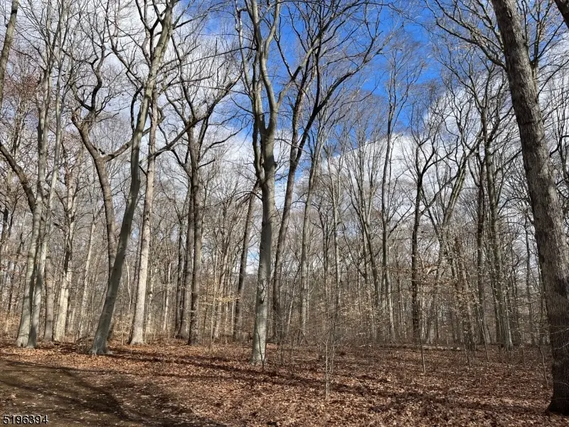 31 Sand Spring Ln, Harding Township, NJ 07976 - Image #1