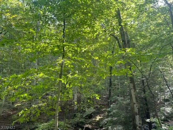 0 U.s. 46, Mine Hill Twp., NJ 07803