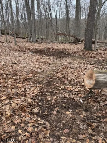 76 Monroe Rd, Lafayette, NJ 07848 - Image #2