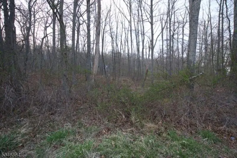 68 W Shore Dr, Crandon Lakes, NJ 07860 - Image #2