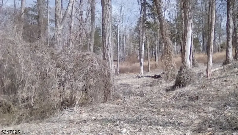 135 N Locust Lake Rd, Mount Hermon, NJ 07825 - Image #1