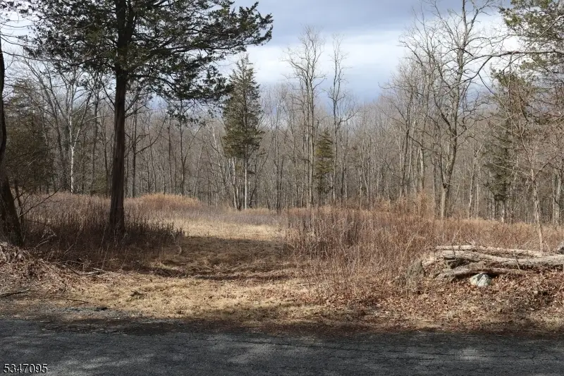 135 N Locust Lake Rd, Mount Hermon, NJ 07825 - Image #2