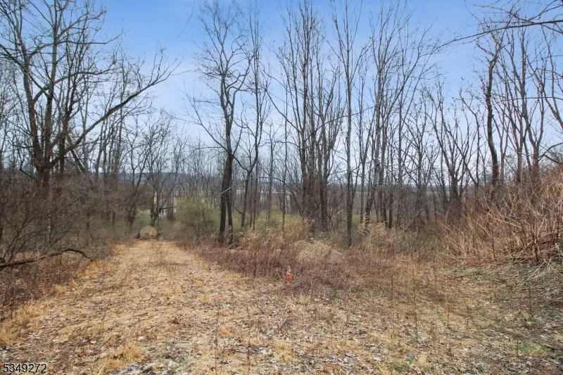 159 Alphano Rd, Independence, NJ 07838 - #2