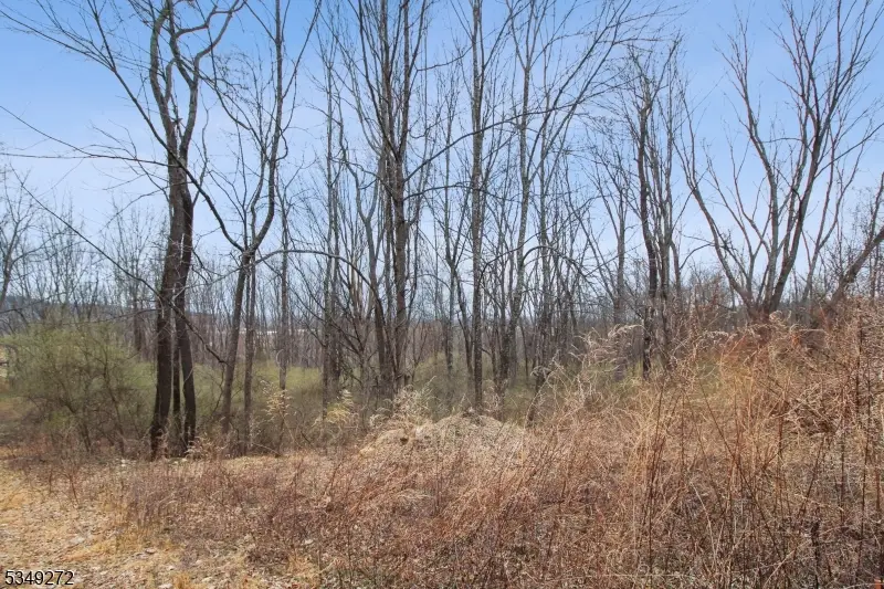 159 Alphano Rd, Independence, NJ 07838 - #3