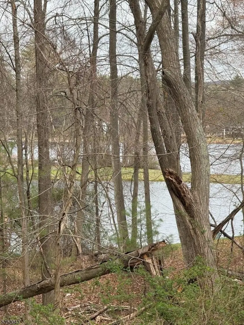 232 Lake Shore, Montague, NJ 07827 - Image #2