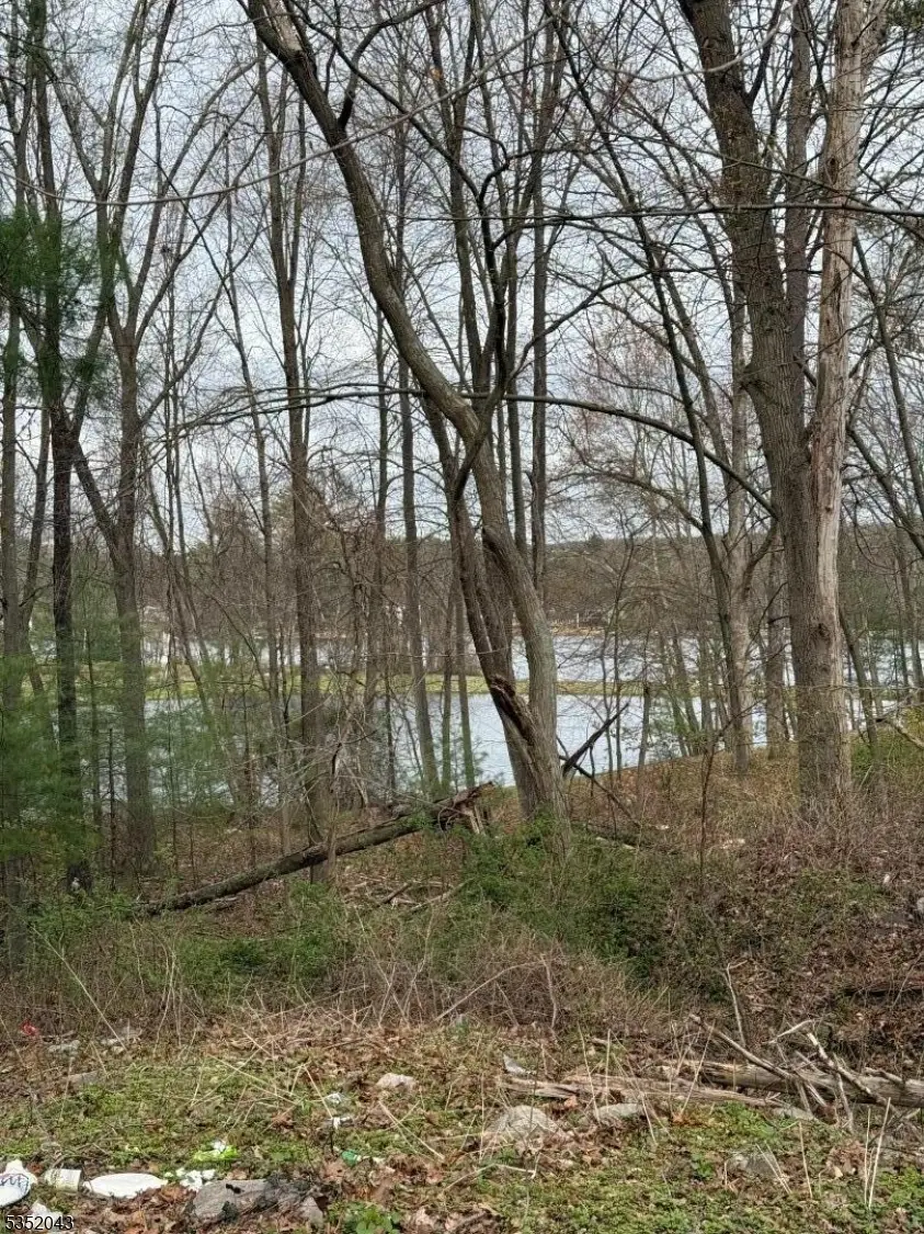 232 Lake Shore, Montague, NJ 07827 - Image #3