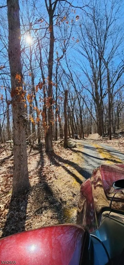 0 Ns Sanatorium Road, Glen Gardner Boro, NJ 08826