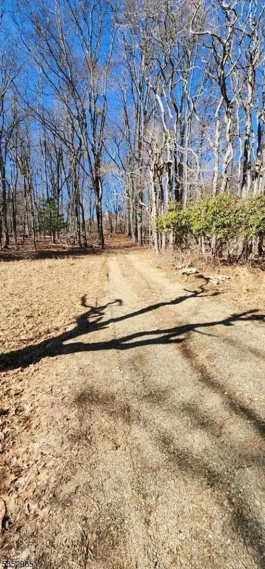 0 Ns Sanatorium Road, Glen Gardner, NJ 08826 - Image #2