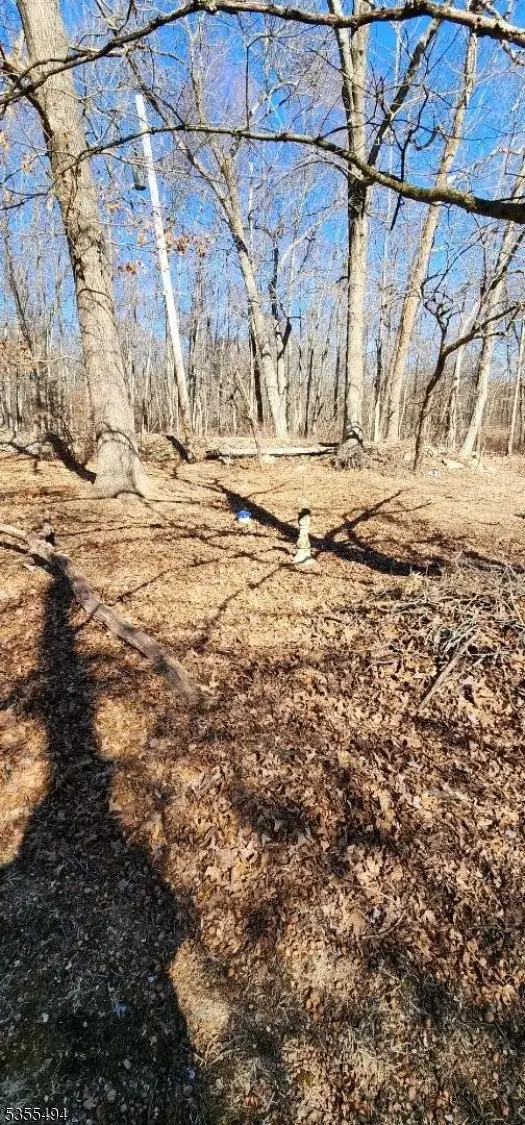 0 Ns Sanatorium Road, Glen Gardner Boro, NJ 08826