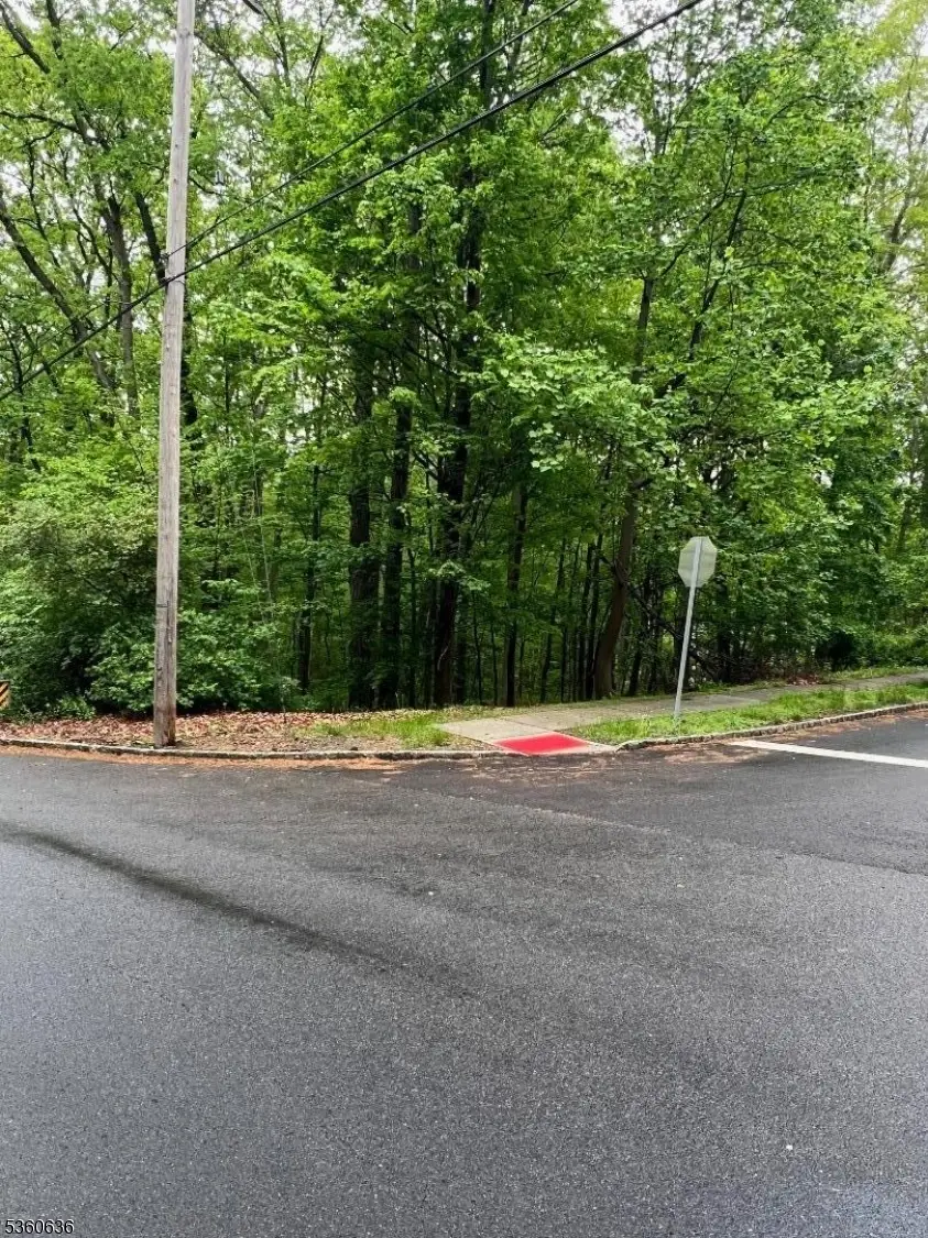 102 Ridge Rd, Allamuchy Township, NJ 07840 - Image #2