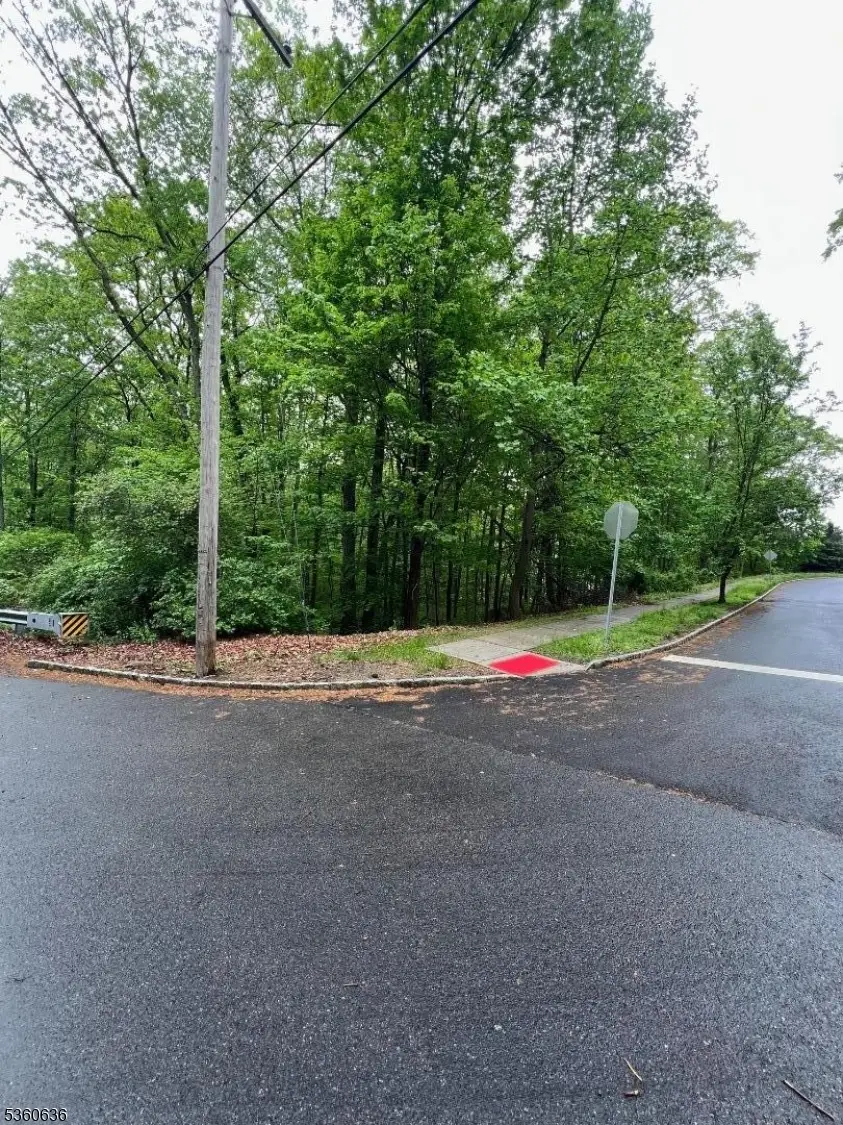 102 Ridge Rd, Allamuchy Township, NJ 07840 - Image #3